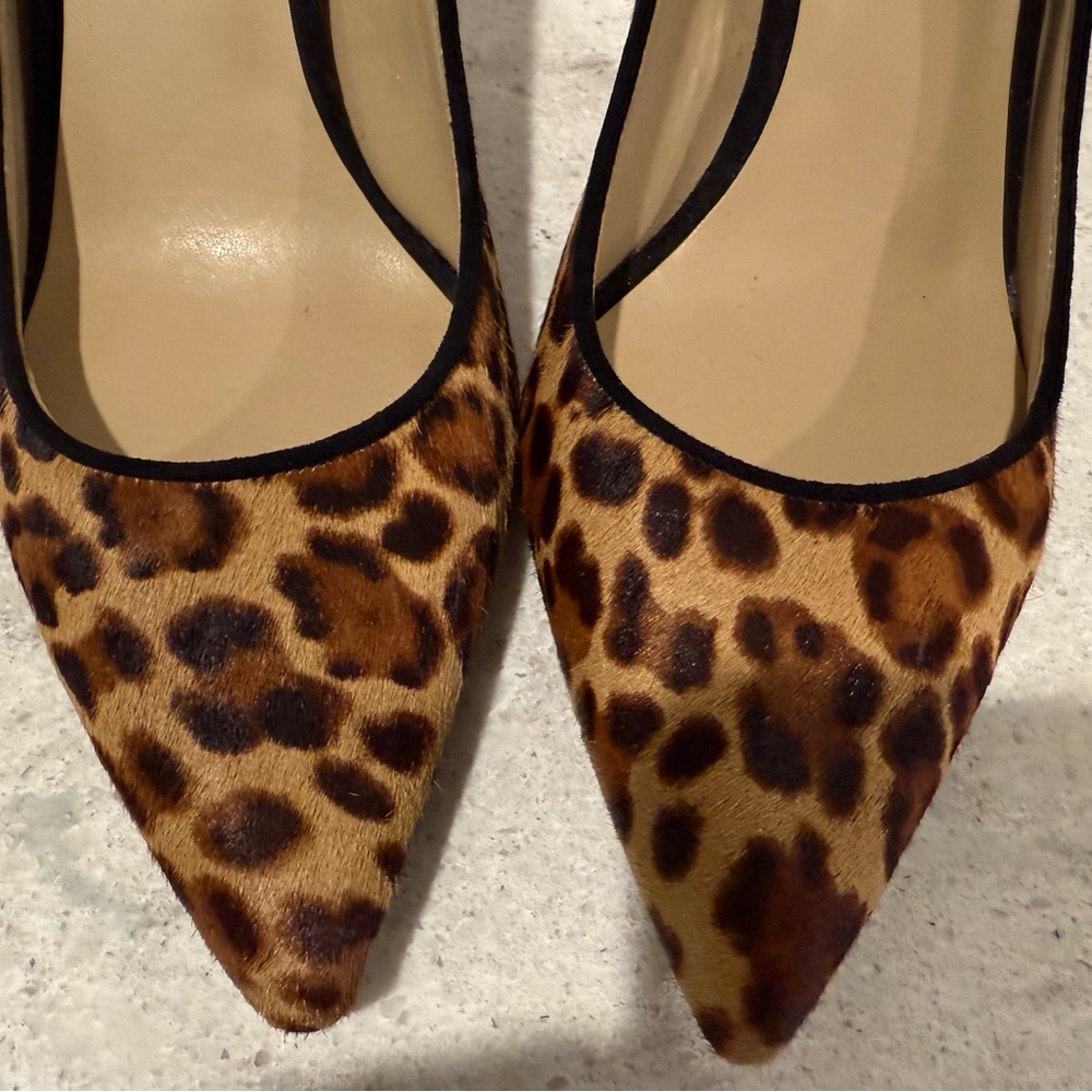 Ann Taylor Leopard Print Calfskin Heels - Picture 2 of 6